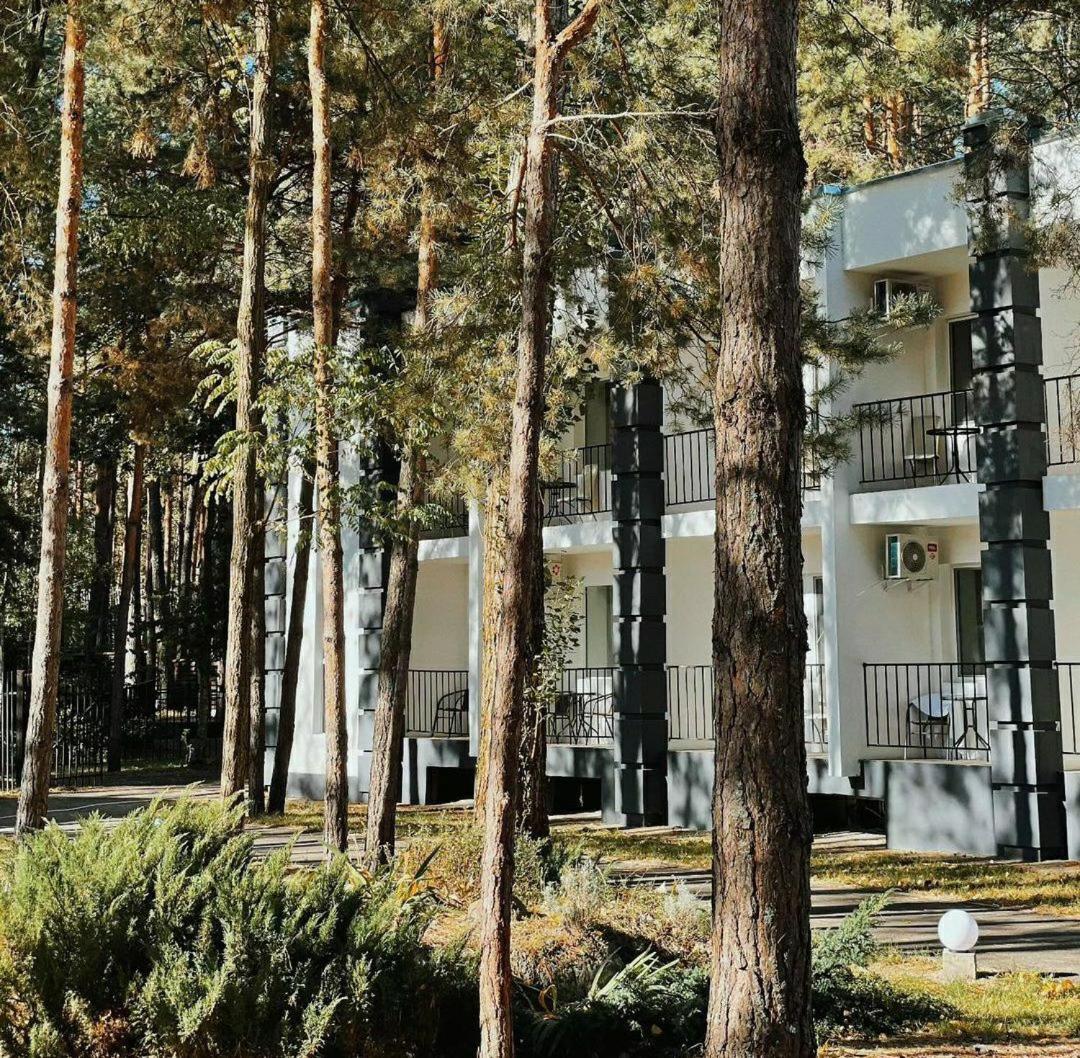 Sosnovel Hotel Voropayev Exterior photo
